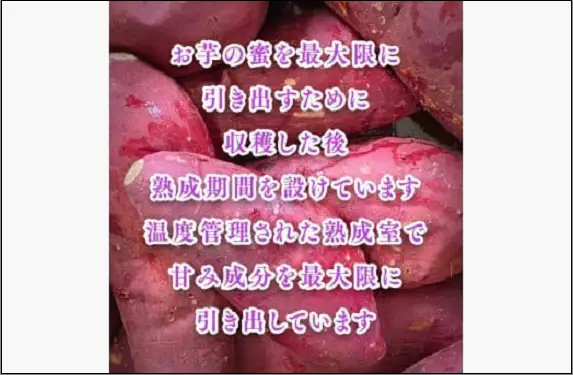 冷やし焼き芋１キロ（真空パック4～6個入）【福岡市内製造】