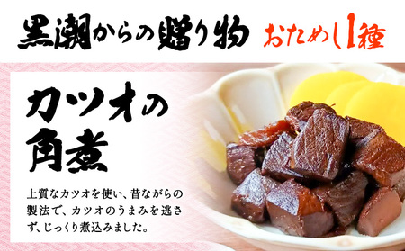 千葉県勝浦市 黒潮からの贈り物 お試し1種 有限会社 佃煮近江《30日以内に出荷予定(土日祝除く)》カツオの角煮【配送不可地域：離島】