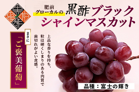 ブラックシャインマスカット 富士の輝き 1房 約700g 【先行予約】【2026年8月下旬～9月下旬発送予定】希少 高糖度 ブラック シャインマスカット マスカット フルーツ 果物 ぶどう 新鮮 生産者直送 葡萄 佐賀県 鹿島市 送料無料 C-156