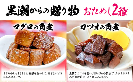 千葉県勝浦市 黒潮からの贈り物 お試し2種 有限会社 佃煮近江《30日以内に出荷予定(土日祝除く)》マグロの角煮 カツオの角煮【配送不可地域：離島】