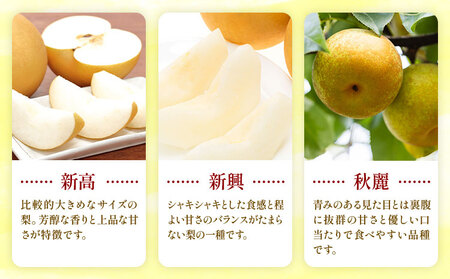 【2026年先行予約】おまかせ梨 秀品 約5kg 日本フルーツ《8月上旬-10月上旬頃出荷》熊本県 長洲町 なし 梨 果物 フルーツ デザート ギフト ご贈答