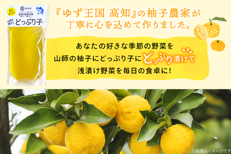 浅漬の素 柚子農家が作る 浅漬け野菜の素 山師の柚子にどっぷり子 5p [は山んば 高知県 津野町 tn39axe860001]