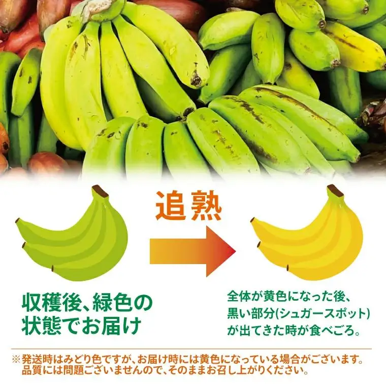 アップルバナナ 約2kg