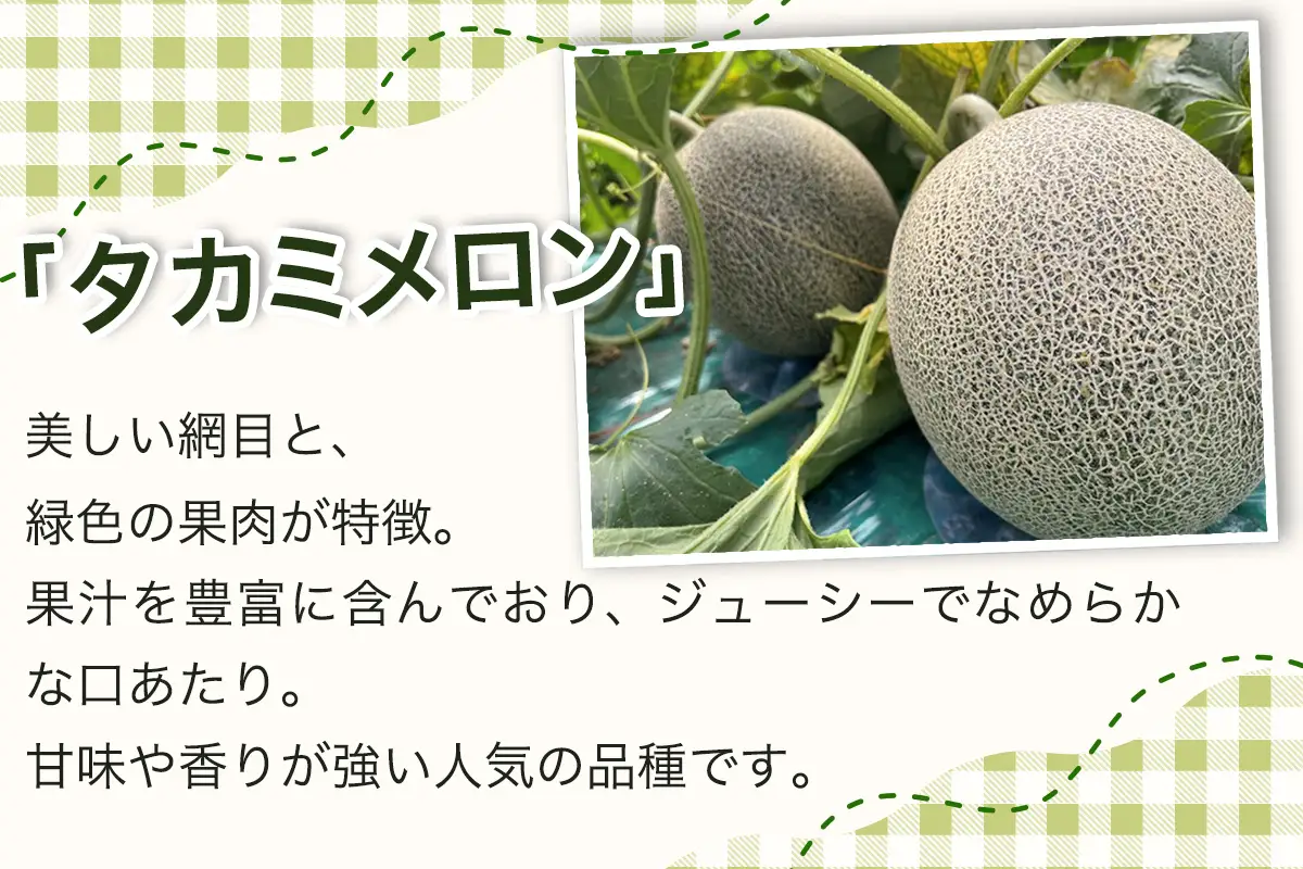 タカミ メロン 約1.8kg×2玉 [0858]