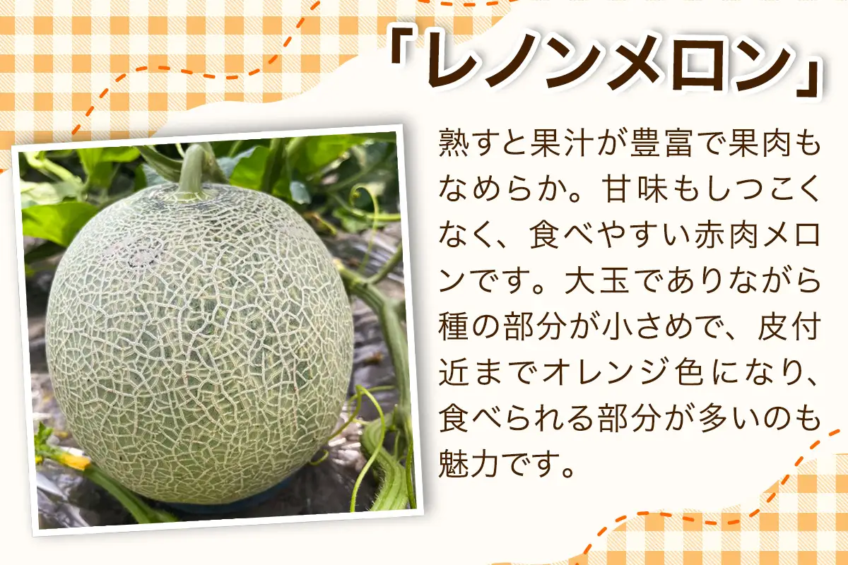 レノン メロン 約1.8kg×2玉 [0859]