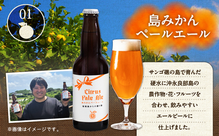 花火大会 応援 ！ 島のビール ” 島みかん ペールエール ” と じゃがいもチップス ” えらぶchips ” の 「 晩酌セット 」 ビール × 4本 、チップス × 2袋 C064-002-03 酒 アルコール 菓子 お菓子 ポテトチップス