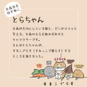 とらちゃんTシャツ×1枚（Mサイズ）【05123】