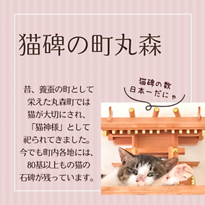 猫好きさんにはたまらない♪猫神様のクッキーサンド詰合せ6個【06017】