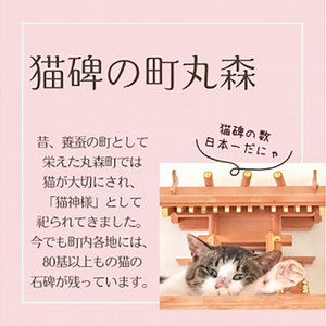 丸森産干し柿使用！猫神様の干し柿バターサンド6枚【06015】