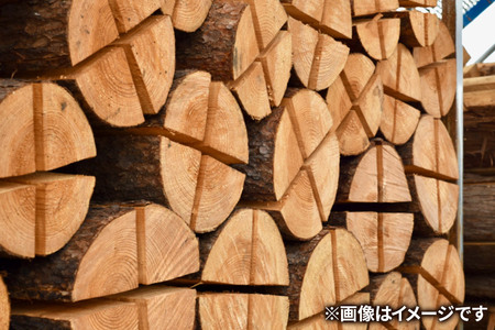 スエーデントーチ【杉】高さ30cm×1個