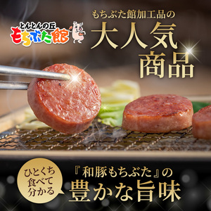 和豚 もちぶた ボロニア ピリ辛ボロニアソーセージセット 各1本 豚肉