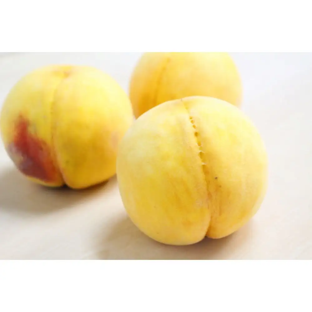 和歌山の黄桃(黄貴妃) 約2kg 【濃厚】 先行予約【9月上旬～中旬発送】
