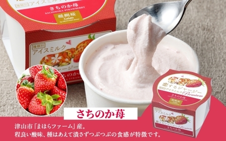 【ジェラート醍醐桜】【熨斗】恋するジャージーPremiumさちのか苺6個セット / 岡山 真庭 【nhss007n-01】