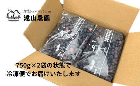 【軽井沢の農家】 遠山農園より直送！ 冷凍ブルーベリー 1.5kg （750g×2パック） 農家直送 軽井沢産 冷凍 ブルーベリー 遠山農園 軽井沢農家 国産