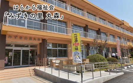 ハイクリアー プロテインバー mini BAR ホワイトチョコ味 1箱（2本入り×12袋）×12か月【18113】