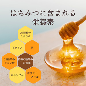 訳あり！大容量サイズ！　丸森町　耕野のはちみつ『夏の野草』1200g×1本【2101102】