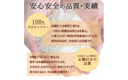 つるもち食感！グルテンフリー米麺 詰め合わせ20食（精米・玄米 各10食ずつ）【25101】