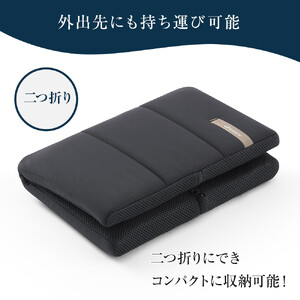★TBSテレビ系列「ひるおび」で取り上げられました！★ エアウィーヴ キャリークッションmini