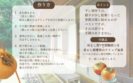 柿 ＼甘さが違う！とっても甘くなる／吊るし柿用 たね無渋柿 T軸又はクリップ付紐付 約2.5～3kg (約9～18玉)【2026年10月中旬～11月上旬ごろ順次発送】【G-art040A】