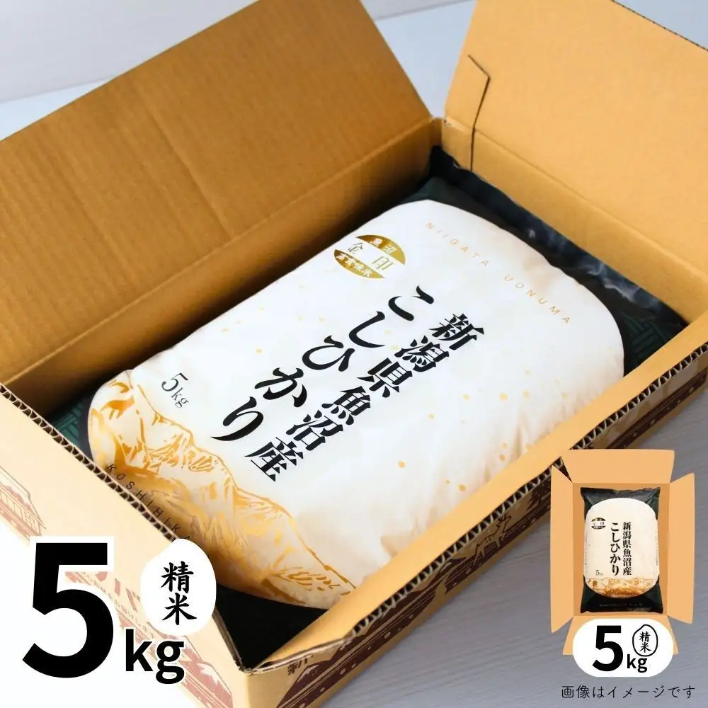 12ヶ月定期便 魚沼産コシヒカリ 金印 高食味米 5kg 有限会社イタバ |津南町 魚沼 令和7年