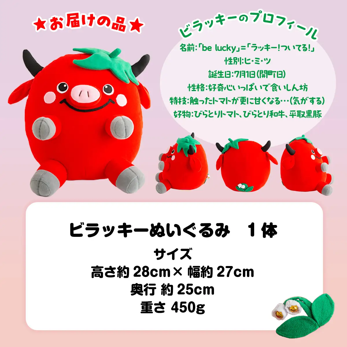 【ご当地キャラ平取町】ビラッキーぬいぐるみ BRTT001