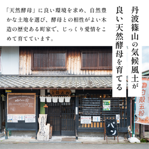 天然酵母パン 7種入り パン 天然酵母パン  CT01-25