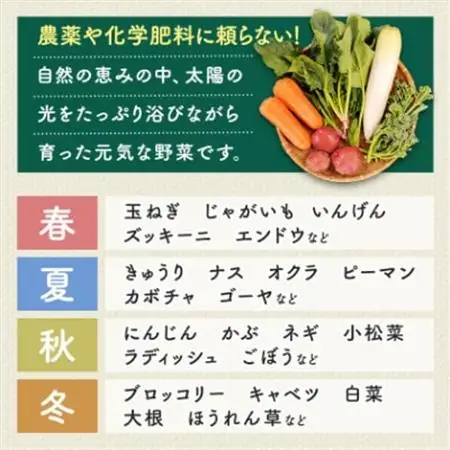 しあわせ野菜畑の有機野菜　Sセット　(安心の有機JAS認証　旬のオーガニック野菜　農場直送便)【配送不可地域：離島・北海道・沖縄県・四国・九州】【1493486】