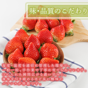 ＜全3回定期便・先行予約受付中！2027年2月上旬以降順次発送予定＞ 博多あまおう (総計約1.5kg) いちご 苺 フルーツ 果物 くだもの 福岡限定 家庭用 冷蔵 定期便 ＜離島配送不可＞【ksg1742】【農産物直売所ほたるの里】
