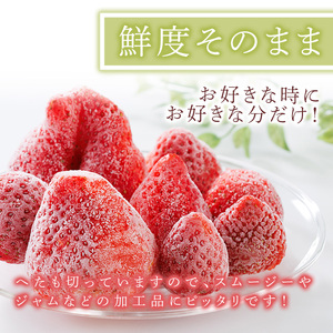冷凍 博多あまおう (計約1.6kg) いちご イチゴ 苺 あまおう 冷凍いちご 冷凍イチゴ 国産 福岡県 果物 フルーツ アイス シャーベット ジャム スムージー 冷凍フルーツ ＜離島配送不可＞ 【ksg1744】【農産物直売所ほたるの里】