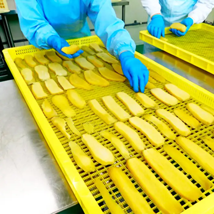 坂東市産　干し芋　紅はるか　100g×5パック No.858
