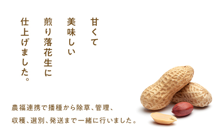 2809 から付き煎り 落花生 600g（150g×4袋） KN070-002-01 ピーナッツ 豆