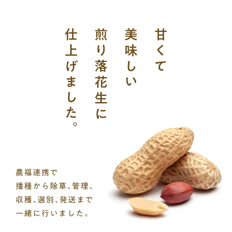 2810 むき身煎り 落花生 600g（150g×4袋） KN070-002-02 ピーナッツ 豆