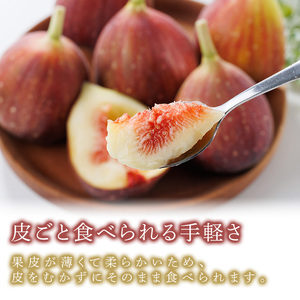 ＜先行予約受付中！2026年8月下旬～2026年10月下旬順次発送予定＞福岡県ブランドいちじく博多 とよみつひめ (計約1.2kg・300g×4P) いちじく イチジク フルーツ 果物 くだもの 福岡限定 ＜離島配送不可＞ 【ksg1750】【農産物直売所ほたるの里】