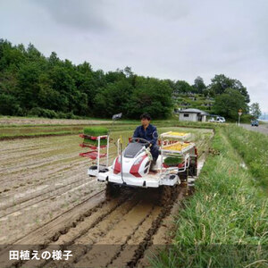 ＜数量限定＞宮城県丸森町産 コシヒカリ 10kg(5kg×2)【1110101】