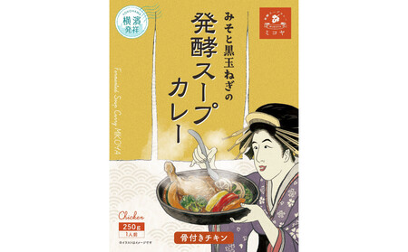レトルト発酵スープカレー食べ比べセット【極み】 APG0001
