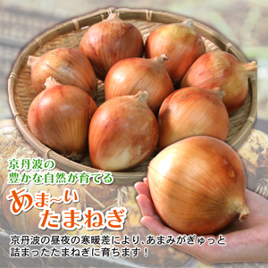 【京都府産】玉ねぎ 5㎏ たまねぎ