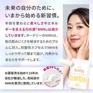 ターナリーNMN（60粒入パウチ）×４袋【エイジングケア 高純度 健康維持 毎日習慣 国内工場 緑黄色野菜 ビタミンA ビタミンC ビタミンE NAD 美容 健康 カプセル 静岡 伊豆　RNA NMN nmn サプリ サプリメント 国内製造 高純度 耐酸性 カプセル タブレット 健康 サーチュイン】