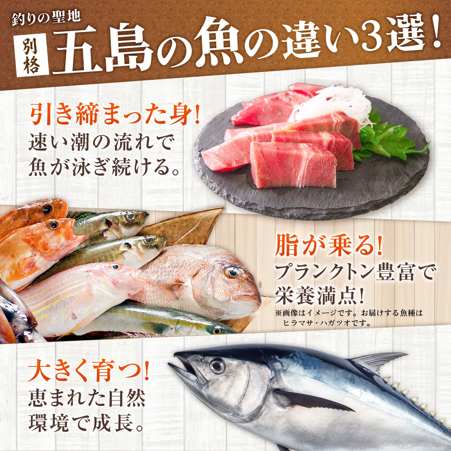 【3回定期便】【超速冷凍】旬魚のゴトポキ5袋 五島市/金沢鮮魚[PEP026]セット