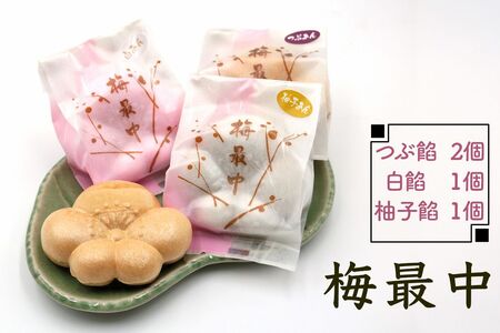 東郷菓子舗 お菓子セット (かぼちゃパイ 梅最中 栗最中 栗まんじゅう) [0114]
