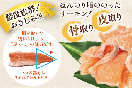 訳あり ノルウェー産 アトランティックサーモン 切り落とし おさしみ用 800g 160g×5p 個包装 [足利本店 宮城県 気仙沼市 20565990]