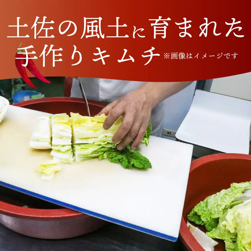 【土佐キムチ きゅうり】 きゅうりキムチ 300g×3パック 無添加 自然派  ポリポリ キムチ 漬物 発酵 きゅうり キムチ 手作り てづくり 韓国 高知県 南国市 