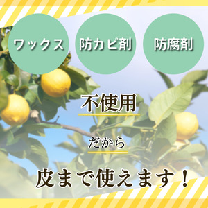 【2026年10月発送】 レモン 10kg 秀品  国産 檸檬 ワックス不使用 防腐剤不使用 