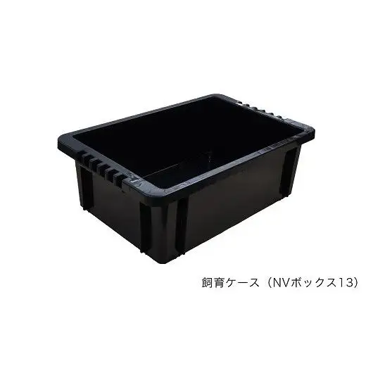 「ミックスめだかスターターキット」
