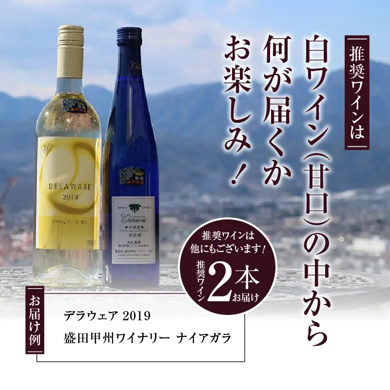 ワイン 勝沼ぶどうの丘推奨 白ワイン（甘口）2本セット（KBO）B2-621