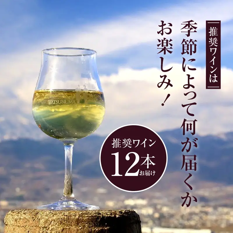 ワイン 勝沼ぶどうの丘推奨ワイン シ－ズンオリジナル12本セット（KBO）G-602