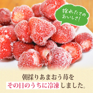＜全6回定期便(隔月)＞冷凍あまおう（計12kg:2kg×6回) いちご イチゴ 苺 あまおう 冷凍いちご 冷凍イチゴ 国産 定期便 福岡県 果物 フルーツ アイス ジャム 冷凍フルーツ ＜離島配送不可＞【ksg1787】【うるう農園】