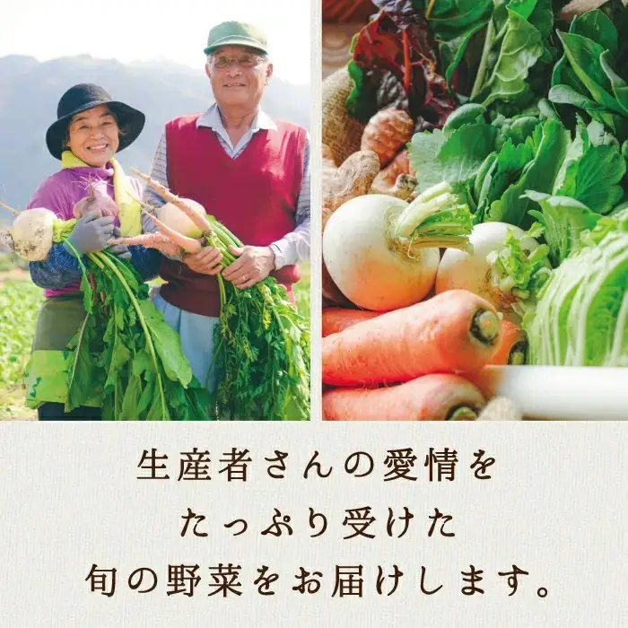 真庭あぐり野菜セット 詰め合わせセット 銀 （野菜10品・卵・ヨーグルト） yasai019 【配送不可地域：北海道／沖縄県／離島】 【jujy027-02】