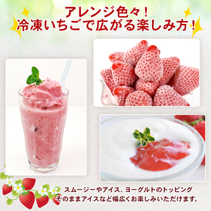 冷凍 いちご 1kg  完熟 きらぴ香  萩埜園 牧之原市 静岡