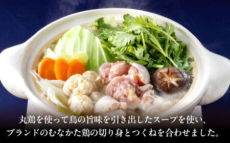むなかた鶏使用　水炊き2人前 [ABEQ027]
