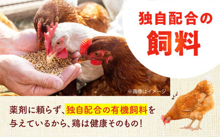 安田養鶏場のたまご アトムくん 30個入 AKHN002 たまご